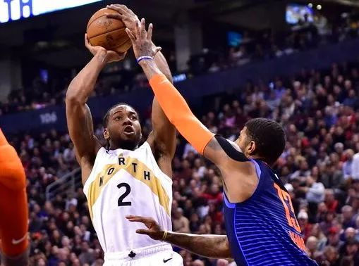 百合新星如 百合新星如